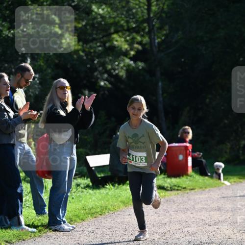 27.09.2026 - 35. Volkslauf durch das schöne Alstertal Dr. Thomas Lammeyer http://msf.ph/oto/10568263 27.09.2026 10:51:30 Laufen 4103 meine-sportfotos.de