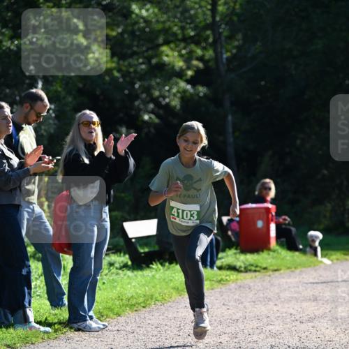 27.09.2026 - 35. Volkslauf durch das schöne Alstertal Dr. Thomas Lammeyer http://msf.ph/oto/10568264 27.09.2026 10:51:30 Laufen 4103 meine-sportfotos.de