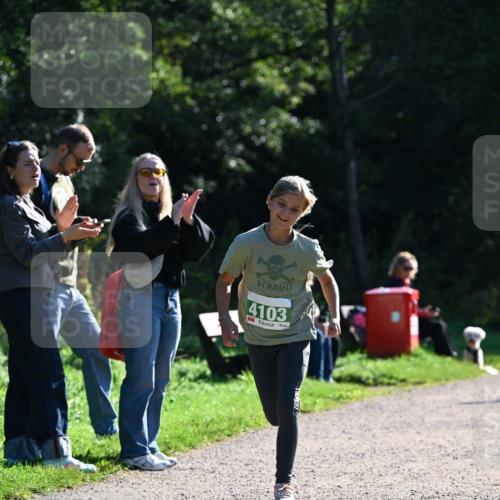 27.09.2026 - 35. Volkslauf durch das schöne Alstertal Dr. Thomas Lammeyer http://msf.ph/oto/10568265 27.09.2026 10:51:31 Laufen 4103 meine-sportfotos.de