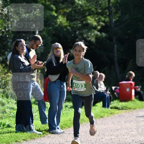 27.09.2026 - 35. Volkslauf durch das schöne Alstertal Dr. Thomas Lammeyer http://msf.ph/oto/10568267 27.09.2026 10:51:31 Laufen 4103 meine-sportfotos.de