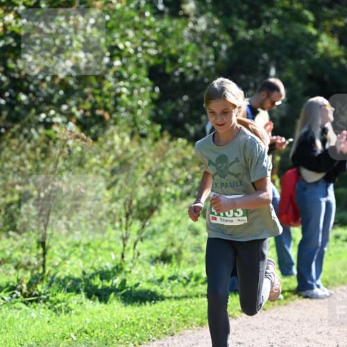 27.09.2026 - 35. Volkslauf durch das schöne Alstertal Dr. Thomas Lammeyer http://msf.ph/oto/10568273 27.09.2026 10:51:32 Laufen  meine-sportfotos.de