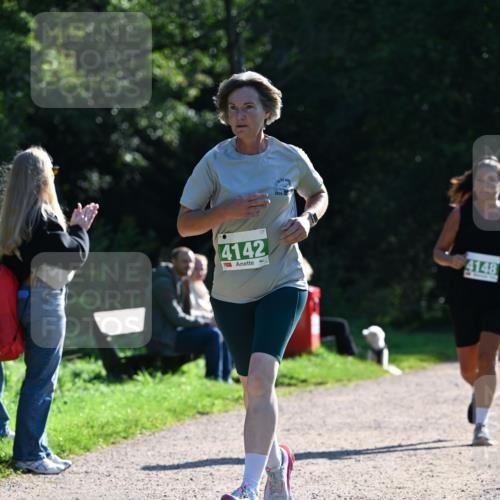 27.09.2026 - 35. Volkslauf durch das schöne Alstertal Dr. Thomas Lammeyer http://msf.ph/oto/10568285 27.09.2026 10:51:35 Laufen 4142, 4148 meine-sportfotos.de