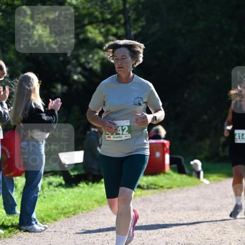 27.09.2026 - 35. Volkslauf durch das schöne Alstertal Dr. Thomas Lammeyer http://msf.ph/oto/10568286 27.09.2026 10:51:35 Laufen 42, 414 meine-sportfotos.de