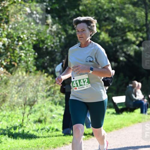 27.09.2026 - 35. Volkslauf durch das schöne Alstertal Dr. Thomas Lammeyer http://msf.ph/oto/10568294 27.09.2026 10:51:36 Laufen 2026, 4142 meine-sportfotos.de