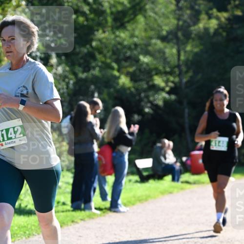 27.09.2026 - 35. Volkslauf durch das schöne Alstertal Dr. Thomas Lammeyer http://msf.ph/oto/10568299 27.09.2026 10:51:37 Laufen 2026, 142, 4148 meine-sportfotos.de