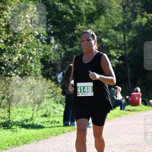 27.09.2026 - 35. Volkslauf durch das schöne Alstertal Dr. Thomas Lammeyer http://msf.ph/oto/10568307 27.09.2026 10:51:38 Laufen 4148 meine-sportfotos.de