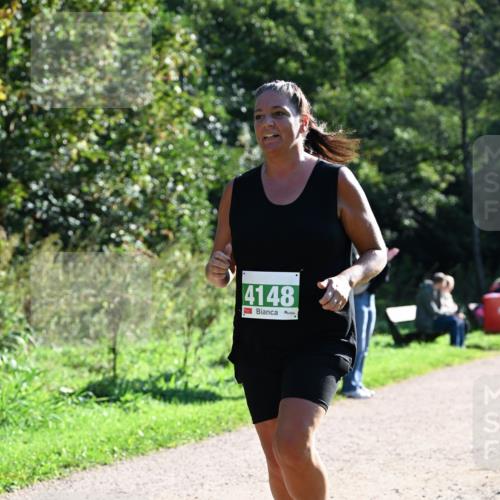 27.09.2026 - 35. Volkslauf durch das schöne Alstertal Dr. Thomas Lammeyer http://msf.ph/oto/10568309 27.09.2026 10:51:39 Laufen 4148 meine-sportfotos.de