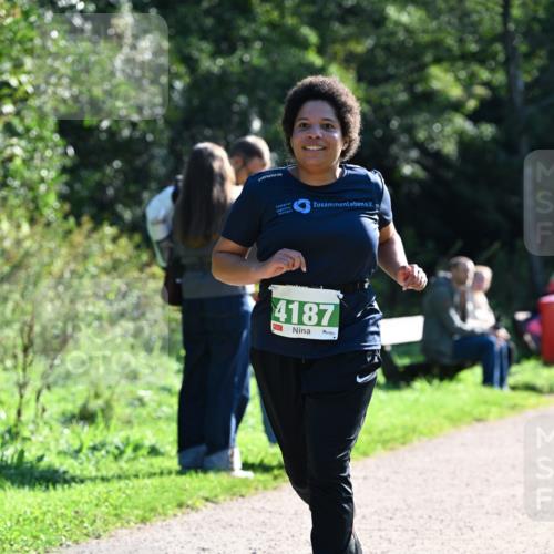 27.09.2026 - 35. Volkslauf durch das schöne Alstertal Dr. Thomas Lammeyer http://msf.ph/oto/10568334 27.09.2026 10:51:48 Laufen 4187 meine-sportfotos.de