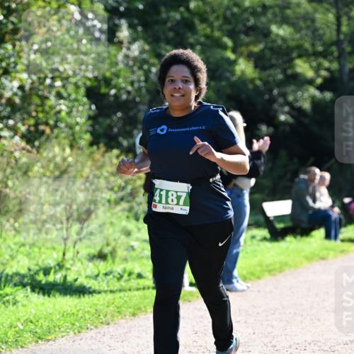 27.09.2026 - 35. Volkslauf durch das schöne Alstertal Dr. Thomas Lammeyer http://msf.ph/oto/10568336 27.09.2026 10:51:49 Laufen 4187 meine-sportfotos.de