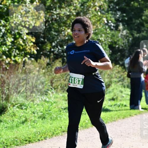 27.09.2026 - 35. Volkslauf durch das schöne Alstertal Dr. Thomas Lammeyer http://msf.ph/oto/10568341 27.09.2026 10:51:49 Laufen 4187 meine-sportfotos.de