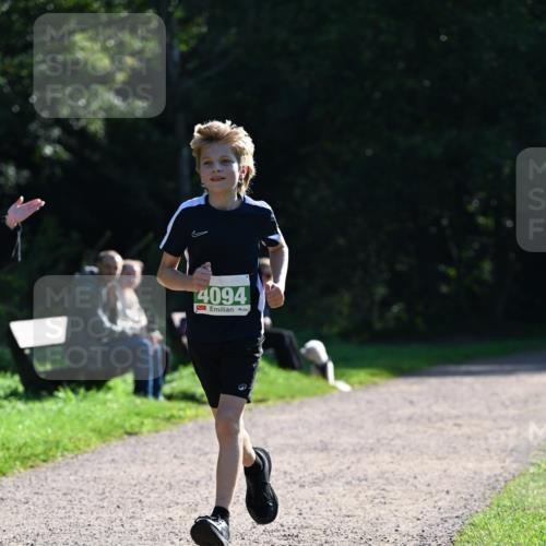 27.09.2026 - 35. Volkslauf durch das schöne Alstertal Dr. Thomas Lammeyer http://msf.ph/oto/10568345 27.09.2026 10:51:51 Laufen 4094 meine-sportfotos.de