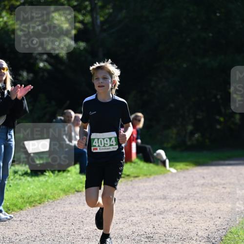 27.09.2026 - 35. Volkslauf durch das schöne Alstertal Dr. Thomas Lammeyer http://msf.ph/oto/10568346 27.09.2026 10:51:52 Laufen 4094 meine-sportfotos.de