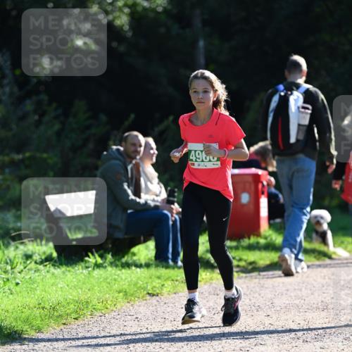 27.09.2026 - 35. Volkslauf durch das schöne Alstertal Dr. Thomas Lammeyer http://msf.ph/oto/10568360 27.09.2026 10:52:18 Laufen 4960 meine-sportfotos.de