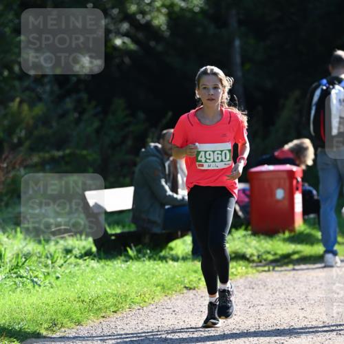 27.09.2026 - 35. Volkslauf durch das schöne Alstertal Dr. Thomas Lammeyer http://msf.ph/oto/10568362 27.09.2026 10:52:18 Laufen 4960 meine-sportfotos.de