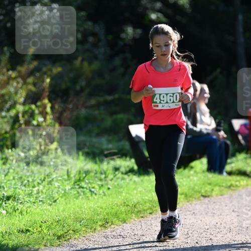 27.09.2026 - 35. Volkslauf durch das schöne Alstertal Dr. Thomas Lammeyer http://msf.ph/oto/10568367 27.09.2026 10:52:19 Laufen 4960 meine-sportfotos.de