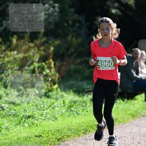 27.09.2026 - 35. Volkslauf durch das schöne Alstertal Dr. Thomas Lammeyer http://msf.ph/oto/10568369 27.09.2026 10:52:19 Laufen 4960 meine-sportfotos.de