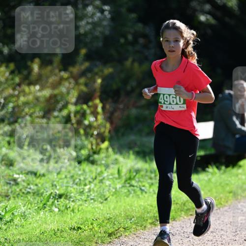 27.09.2026 - 35. Volkslauf durch das schöne Alstertal Dr. Thomas Lammeyer http://msf.ph/oto/10568370 27.09.2026 10:52:20 Laufen 4960 meine-sportfotos.de