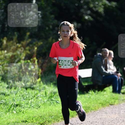 27.09.2026 - 35. Volkslauf durch das schöne Alstertal Dr. Thomas Lammeyer http://msf.ph/oto/10568371 27.09.2026 10:52:20 Laufen 496 meine-sportfotos.de