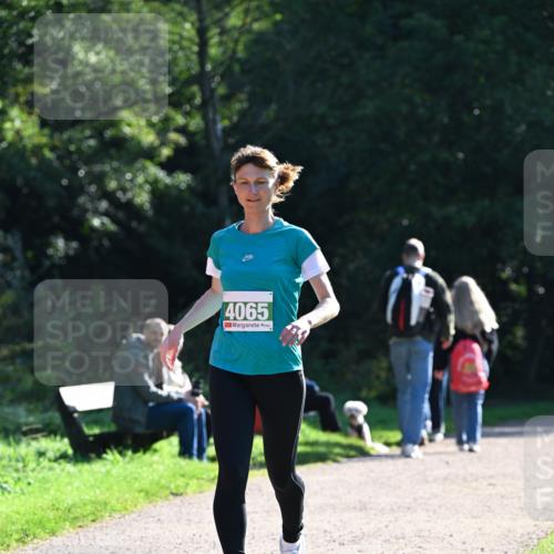 27.09.2026 - 35. Volkslauf durch das schöne Alstertal Dr. Thomas Lammeyer http://msf.ph/oto/10568372 27.09.2026 10:52:20 Laufen 4065 meine-sportfotos.de