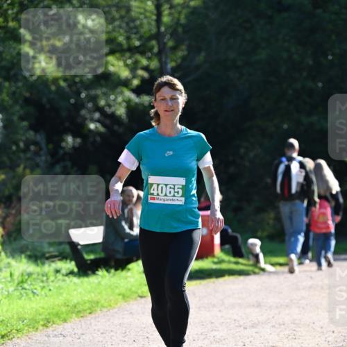 27.09.2026 - 35. Volkslauf durch das schöne Alstertal Dr. Thomas Lammeyer http://msf.ph/oto/10568374 27.09.2026 10:52:21 Laufen 4065 meine-sportfotos.de