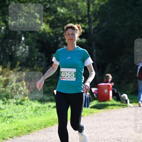 27.09.2026 - 35. Volkslauf durch das schöne Alstertal Dr. Thomas Lammeyer http://msf.ph/oto/10568378 27.09.2026 10:52:21 Laufen 4065 meine-sportfotos.de