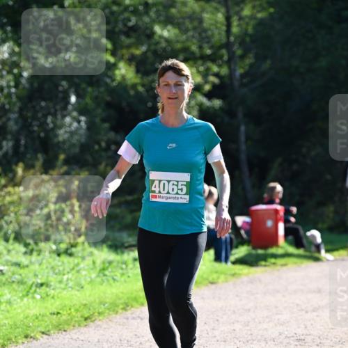27.09.2026 - 35. Volkslauf durch das schöne Alstertal Dr. Thomas Lammeyer http://msf.ph/oto/10568379 27.09.2026 10:52:21 Laufen 4065 meine-sportfotos.de