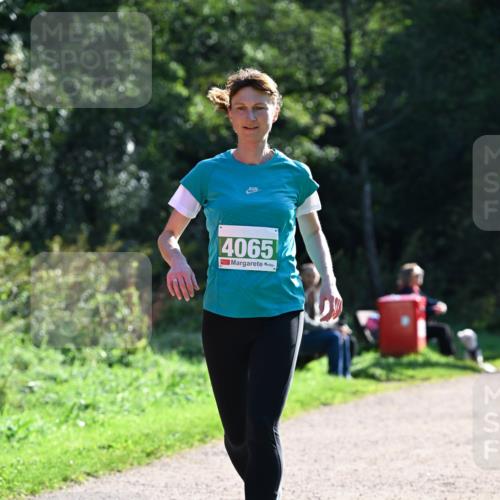 27.09.2026 - 35. Volkslauf durch das schöne Alstertal Dr. Thomas Lammeyer http://msf.ph/oto/10568380 27.09.2026 10:52:21 Laufen 4065 meine-sportfotos.de