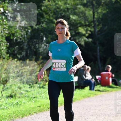 27.09.2026 - 35. Volkslauf durch das schöne Alstertal Dr. Thomas Lammeyer http://msf.ph/oto/10568382 27.09.2026 10:52:22 Laufen 4065 meine-sportfotos.de