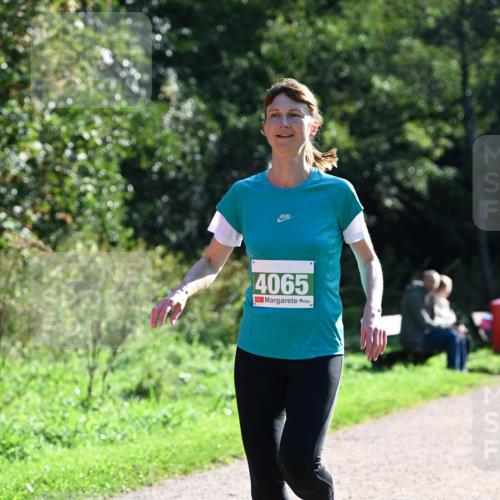 27.09.2026 - 35. Volkslauf durch das schöne Alstertal Dr. Thomas Lammeyer http://msf.ph/oto/10568384 27.09.2026 10:52:22 Laufen 4065 meine-sportfotos.de