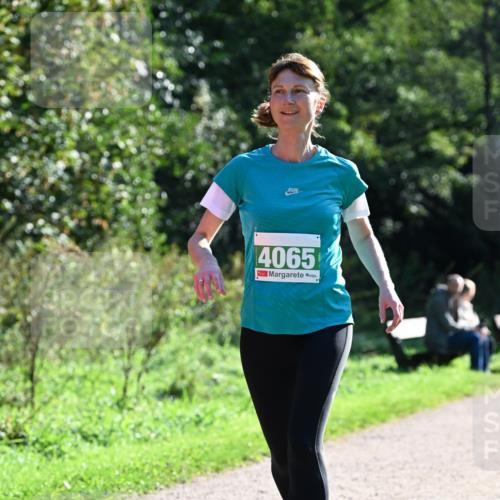 27.09.2026 - 35. Volkslauf durch das schöne Alstertal Dr. Thomas Lammeyer http://msf.ph/oto/10568385 27.09.2026 10:52:22 Laufen 4065 meine-sportfotos.de