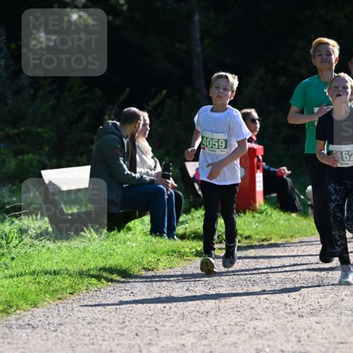 27.09.2026 - 35. Volkslauf durch das schöne Alstertal Dr. Thomas Lammeyer http://msf.ph/oto/10568389 27.09.2026 10:52:36 Laufen 4059, 62 meine-sportfotos.de