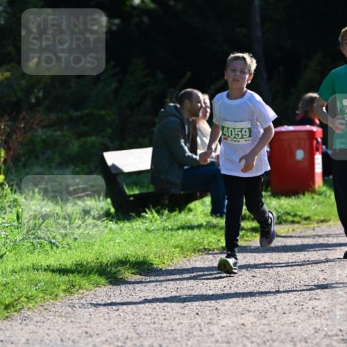 27.09.2026 - 35. Volkslauf durch das schöne Alstertal Dr. Thomas Lammeyer http://msf.ph/oto/10568394 27.09.2026 10:52:36 Laufen 4059 meine-sportfotos.de