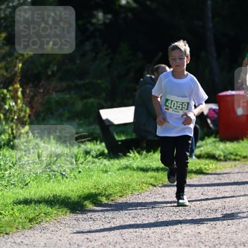 27.09.2026 - 35. Volkslauf durch das schöne Alstertal Dr. Thomas Lammeyer http://msf.ph/oto/10568397 27.09.2026 10:52:37 Laufen 4059 meine-sportfotos.de