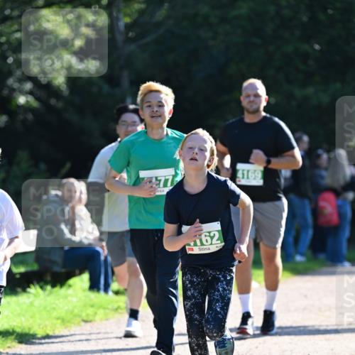 27.09.2026 - 35. Volkslauf durch das schöne Alstertal Dr. Thomas Lammeyer http://msf.ph/oto/10568402 27.09.2026 10:52:38 Laufen 77, 4169, 162 meine-sportfotos.de