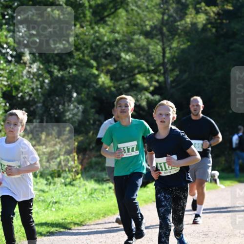 27.09.2026 - 35. Volkslauf durch das schöne Alstertal Dr. Thomas Lammeyer http://msf.ph/oto/10568410 27.09.2026 10:52:39 Laufen 177, 416, 69 meine-sportfotos.de