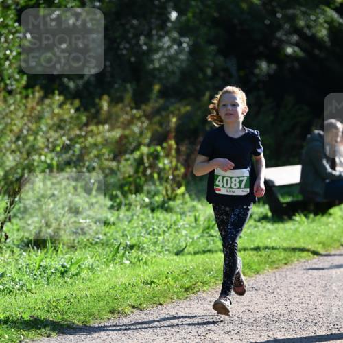27.09.2026 - 35. Volkslauf durch das schöne Alstertal Dr. Thomas Lammeyer http://msf.ph/oto/10568428 27.09.2026 10:52:46 Laufen 4087 meine-sportfotos.de