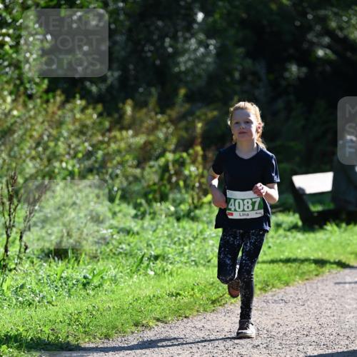 27.09.2026 - 35. Volkslauf durch das schöne Alstertal Dr. Thomas Lammeyer http://msf.ph/oto/10568429 27.09.2026 10:52:46 Laufen 4087 meine-sportfotos.de