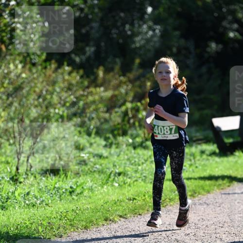 27.09.2026 - 35. Volkslauf durch das schöne Alstertal Dr. Thomas Lammeyer http://msf.ph/oto/10568430 27.09.2026 10:52:46 Laufen 4087 meine-sportfotos.de