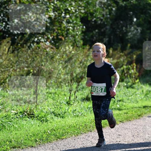 27.09.2026 - 35. Volkslauf durch das schöne Alstertal Dr. Thomas Lammeyer http://msf.ph/oto/10568436 27.09.2026 10:52:47 Laufen 4087 meine-sportfotos.de