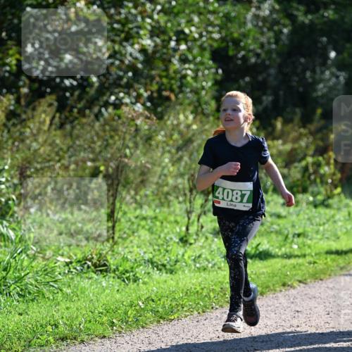 27.09.2026 - 35. Volkslauf durch das schöne Alstertal Dr. Thomas Lammeyer http://msf.ph/oto/10568437 27.09.2026 10:52:47 Laufen 4087 meine-sportfotos.de