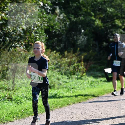 27.09.2026 - 35. Volkslauf durch das schöne Alstertal Dr. Thomas Lammeyer http://msf.ph/oto/10568439 27.09.2026 10:52:47 Laufen 4087 meine-sportfotos.de