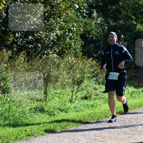 27.09.2026 - 35. Volkslauf durch das schöne Alstertal Dr. Thomas Lammeyer http://msf.ph/oto/10568442 27.09.2026 10:52:49 Laufen 4030 meine-sportfotos.de