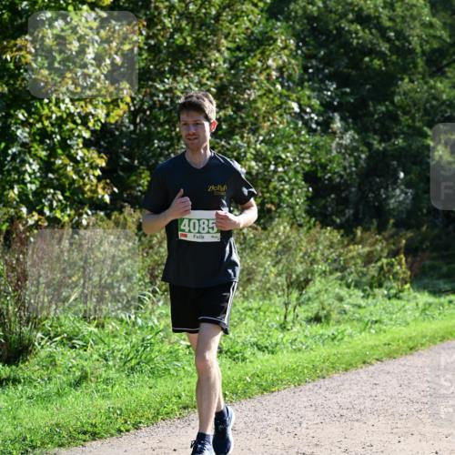 27.09.2026 - 35. Volkslauf durch das schöne Alstertal Dr. Thomas Lammeyer http://msf.ph/oto/10568458 27.09.2026 10:52:55 Laufen 4085 meine-sportfotos.de
