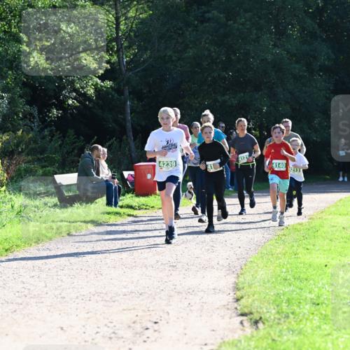 27.09.2026 - 35. Volkslauf durch das schöne Alstertal Dr. Thomas Lammeyer http://msf.ph/oto/10568466 27.09.2026 10:53:08 Laufen 4239, 4121, 4140, 4213 meine-sportfotos.de