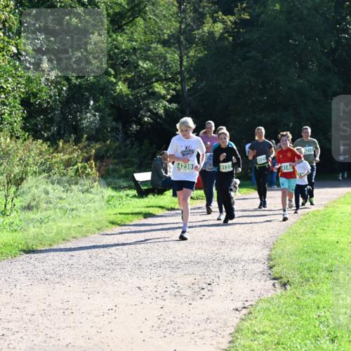 27.09.2026 - 35. Volkslauf durch das schöne Alstertal Dr. Thomas Lammeyer http://msf.ph/oto/10568471 27.09.2026 10:53:09 Laufen 4239, 1214, 4121, 4122, 4140 meine-sportfotos.de