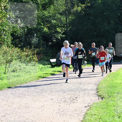 27.09.2026 - 35. Volkslauf durch das schöne Alstertal Dr. Thomas Lammeyer http://msf.ph/oto/10568472 27.09.2026 10:53:09 Laufen 4121, 4122, 4239, 4140, 4214 meine-sportfotos.de