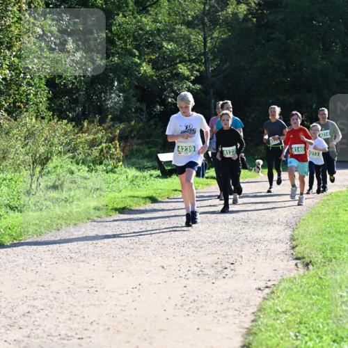 27.09.2026 - 35. Volkslauf durch das schöne Alstertal Dr. Thomas Lammeyer http://msf.ph/oto/10568475 27.09.2026 10:53:09 Laufen 4239, 4122, 4140, 4213, 4214 meine-sportfotos.de