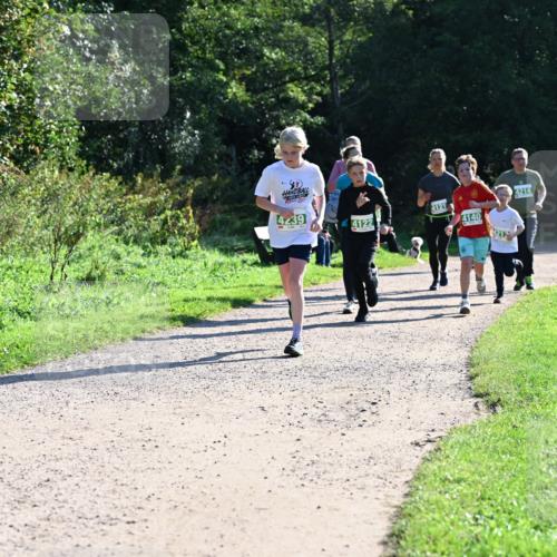 27.09.2026 - 35. Volkslauf durch das schöne Alstertal Dr. Thomas Lammeyer http://msf.ph/oto/10568476 27.09.2026 10:53:10 Laufen 4239, 4214, 4121, 4122, 4140, 4212 meine-sportfotos.de