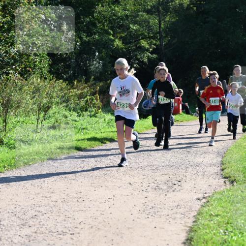 27.09.2026 - 35. Volkslauf durch das schöne Alstertal Dr. Thomas Lammeyer http://msf.ph/oto/10568479 27.09.2026 10:53:10 Laufen 20, 4122, 4140, 4239, 4215 meine-sportfotos.de