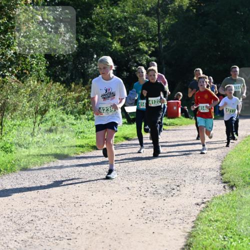 27.09.2026 - 35. Volkslauf durch das schöne Alstertal Dr. Thomas Lammeyer http://msf.ph/oto/10568481 27.09.2026 10:53:10 Laufen 30, 2020, 4239, 4122, 414, 4140, 4213, 214 meine-sportfotos.de